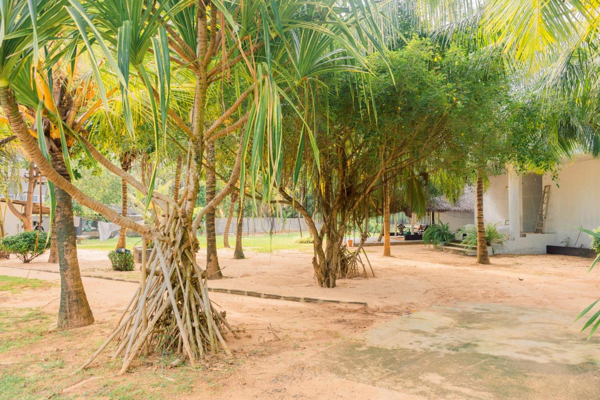 Harmony Beach Resort Tangalle Ngoại thất bức ảnh